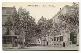 CPA - Carpentras (84) Avenue d'Avignon