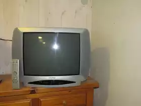 Télévision 50cm