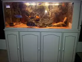 Super aquarium complet 650l meuble poiss