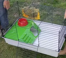 Cage à lapin
