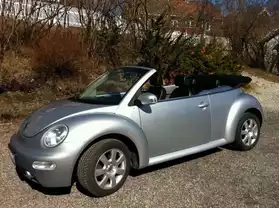 Volkswagen Beetle 1,9 TDI