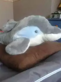 Peluche dauphin 50 cm