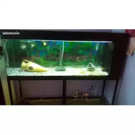 Aquarium de 350 Litres