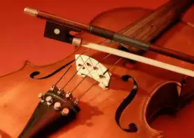 Donne cours de violon - Chambéry