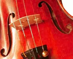 Cours de violon et soutien (+solfège)