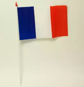 Drapeaux Français Polyéthylène 10x15cm
