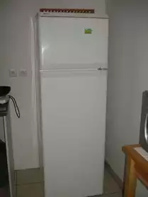 Réfrigérateur congélateur en haut PROLIN