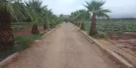 Ferme tirée 4.25 ha à 17 km de Marrakech