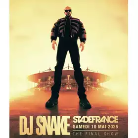 Concert DJ Snake