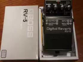 Reverberation RV5 Boss