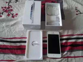 Apple iPhone 5 16 Go Blanc et argent