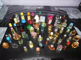 Lot de 65 parfums miniatures pleins
