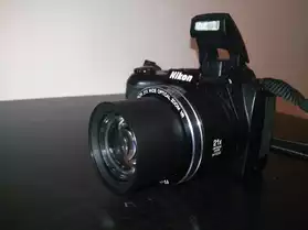 Nikon Coolpix L310 + accessoires
