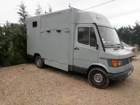 Camion chevaux VL betaillere