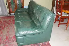 Beau canapé-lit en cuir vert