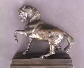 Cheval Turc.Barye. Sculpture Bronze