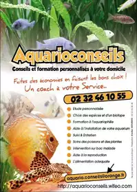 Coaching en aquariophilie.