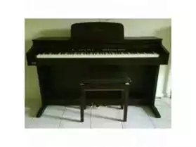 Delson Allegro 8860 - Piano Numérique