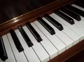 Piano, Chant- la musique pour la vie!
