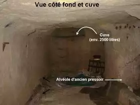 Cave dans la roche de tuffeau à Chinon