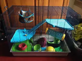 Grande cage lapin, furet, rat...