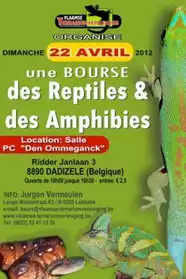Bourse des reptiles et amphibies Dadizel