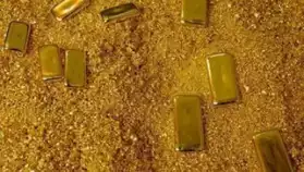 Vente d'or en poudre et lingot
