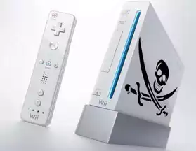 Flash Wii
