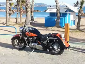 Suzuki Intruder 800 style Harley