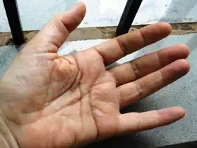 Etudes des lignes de mains