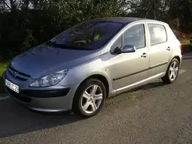 PEUGEOT 307 hdi grise