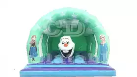 Bumpy Frozen gonflable!