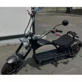 Scooter électrique