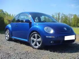 Volkswagen New Beetle tdi 105 carat