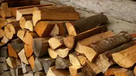 bois de chauffage, sec et bonne qualité