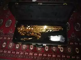 Saxophone TAS-350