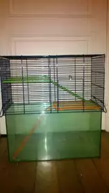 Cage rat hamster souris