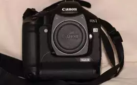 Canon EOS 1D Mark III Reflex 10