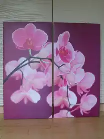 Tableau sur toile "branche d'orchidée"