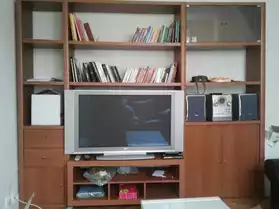 Belle bibliothèque avec meuble télé