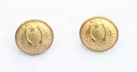 2 boutons militaires anciens dorés