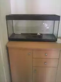 Aquarium 60 litres