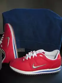 VENDS BASKETS NIKE ROUGE T42,5