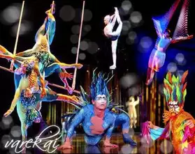 Cirque du Soleil Zénith Nantes