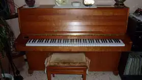 Piano d'étude Wilnner 105