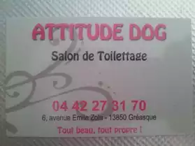 ATTITUDE DOG SALON DE TOILETTAGE CANIN