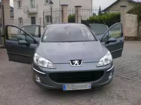 Peugeot 407 2.0 hdi 136 fap griffe occas