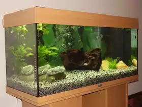aquarium +meuble