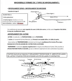 COURS PACES TOULOUSE 2017-2018