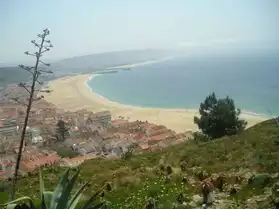 Location appart Portugal